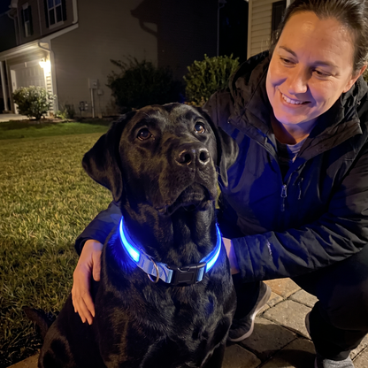 Collar LED de seguridad