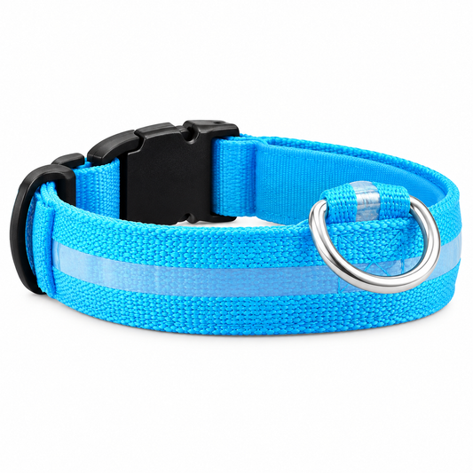 Collar LED de seguridad