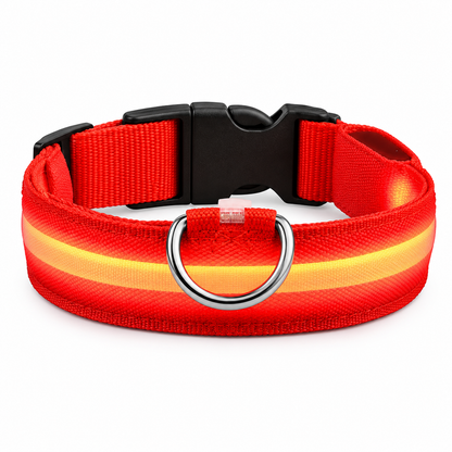 Collar LED de seguridad