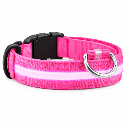 Collar LED de seguridad