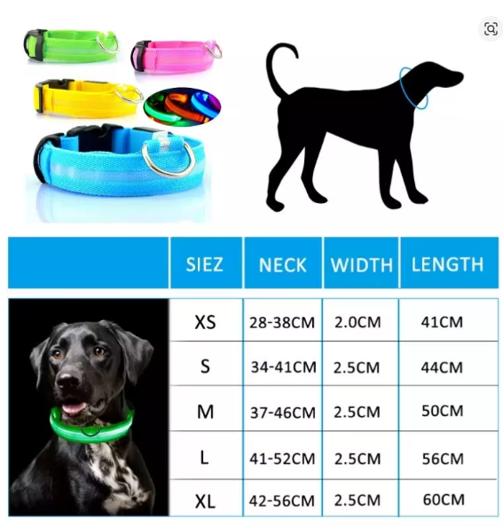 Collar LED de seguridad